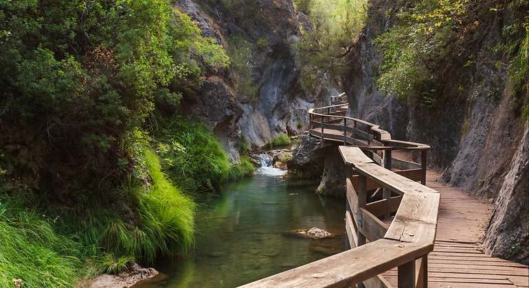 Ruta del Río Borosa