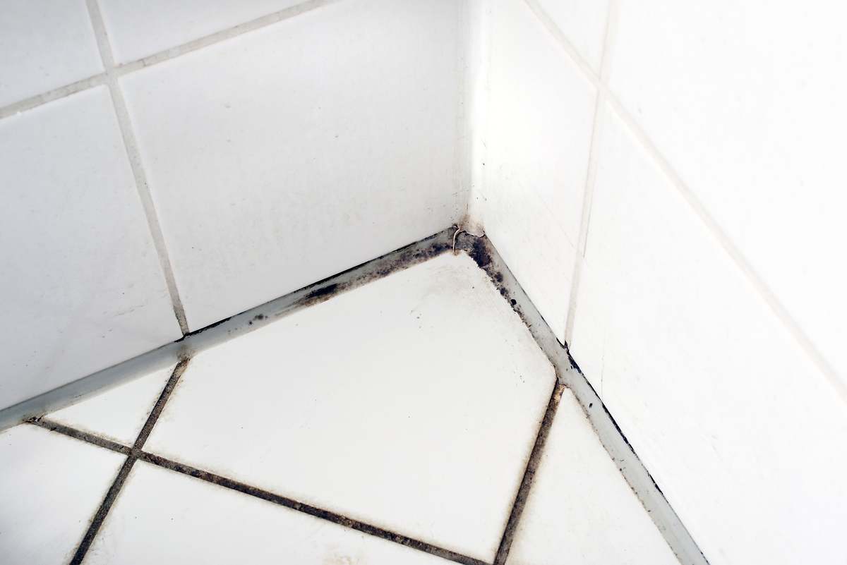 Una experta en limpieza desvela cómo eliminar el moho de baño: "Con ingredientes adecuados, desaparece sin esfuerzo"