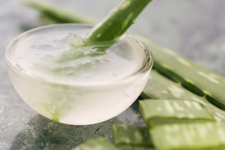 Aloe Vera
