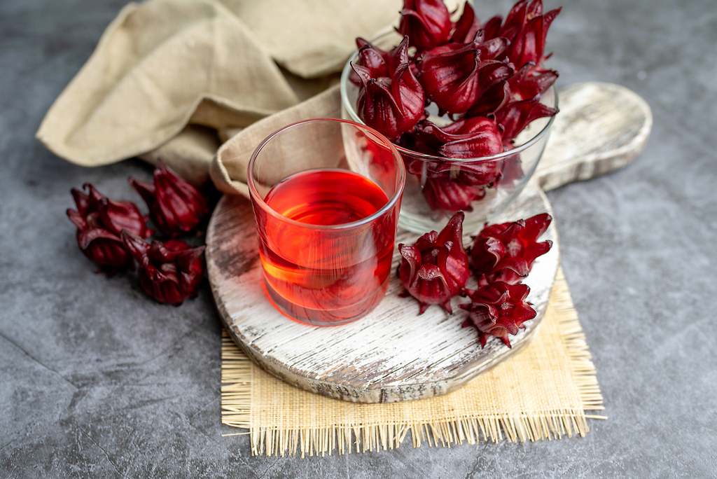 Infusión flor de jamaica