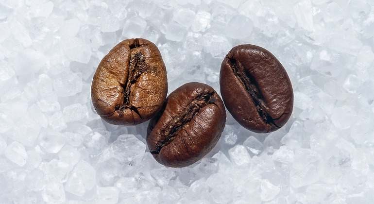 café y sal