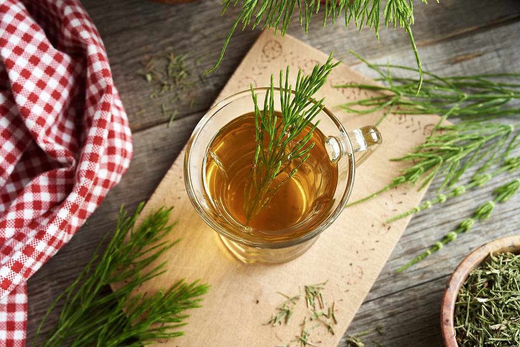 Infusión de cola de caballo