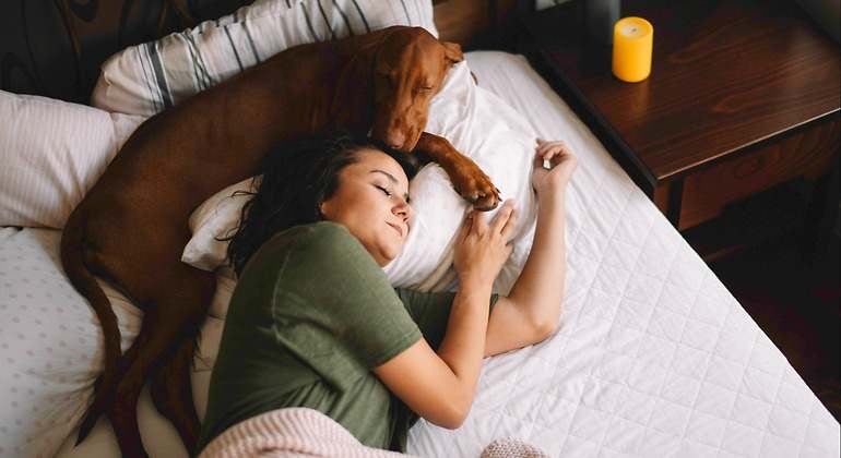 Dormir con el perro 