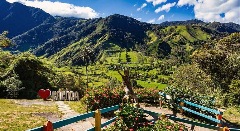 Valle del Cocora