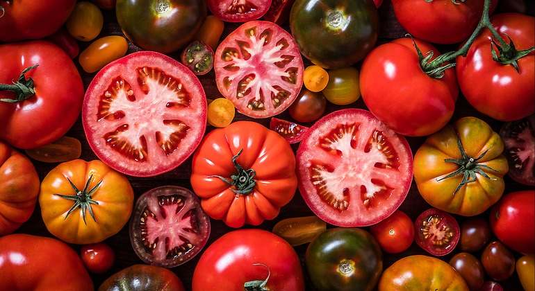 Tipos de tomate