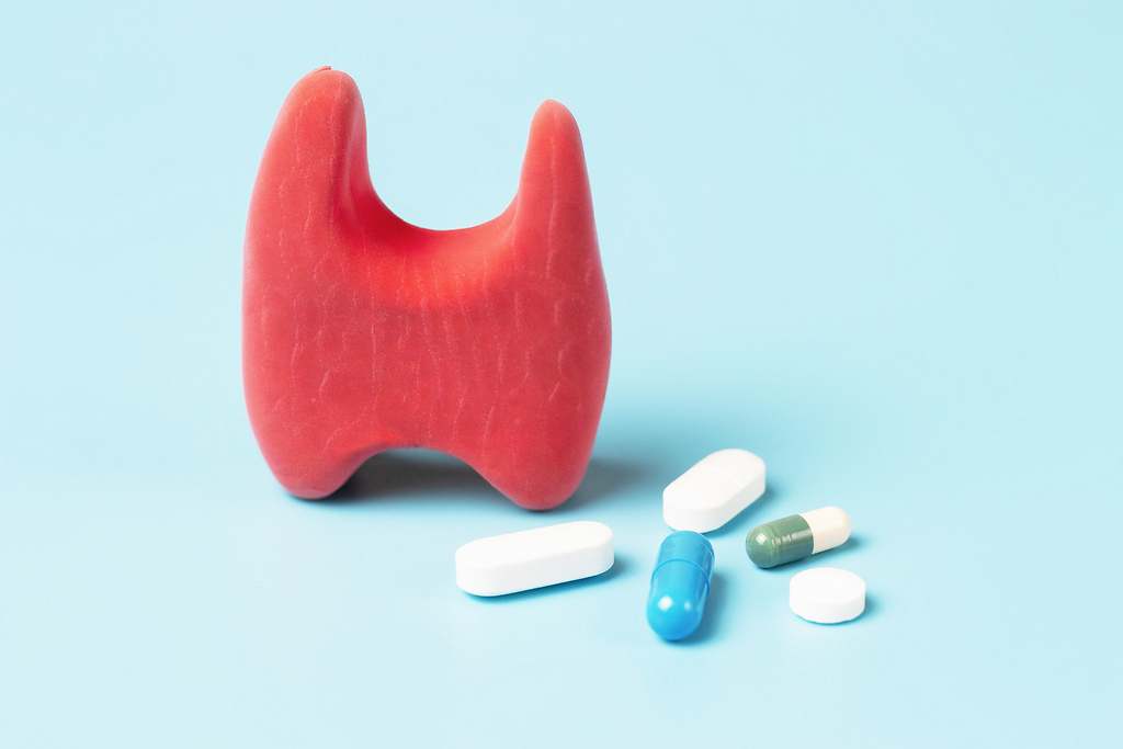 Medicamentos para la tiroides.