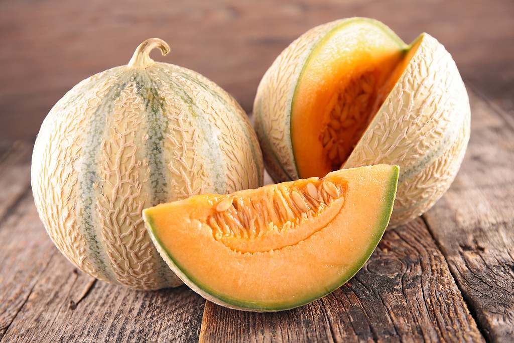 Cantalupo