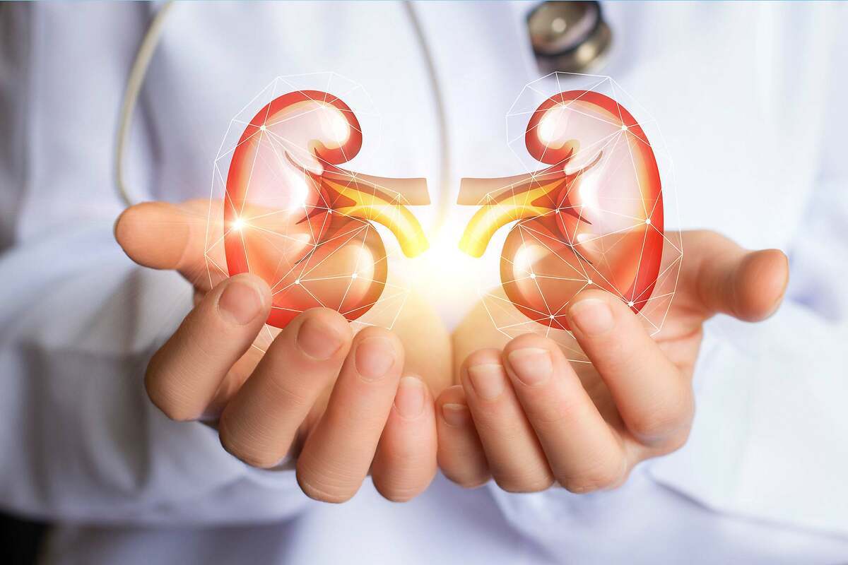 Cómo limpiar tus riñones de forma natural, sin esfuerzo y rápidamente