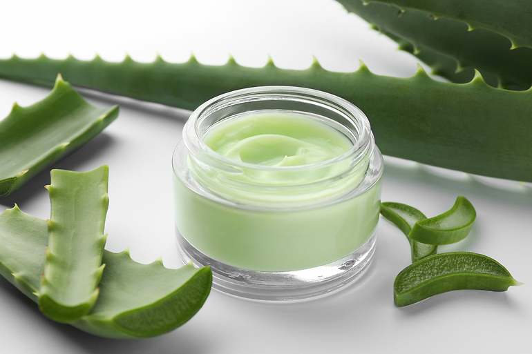Aloe Vera