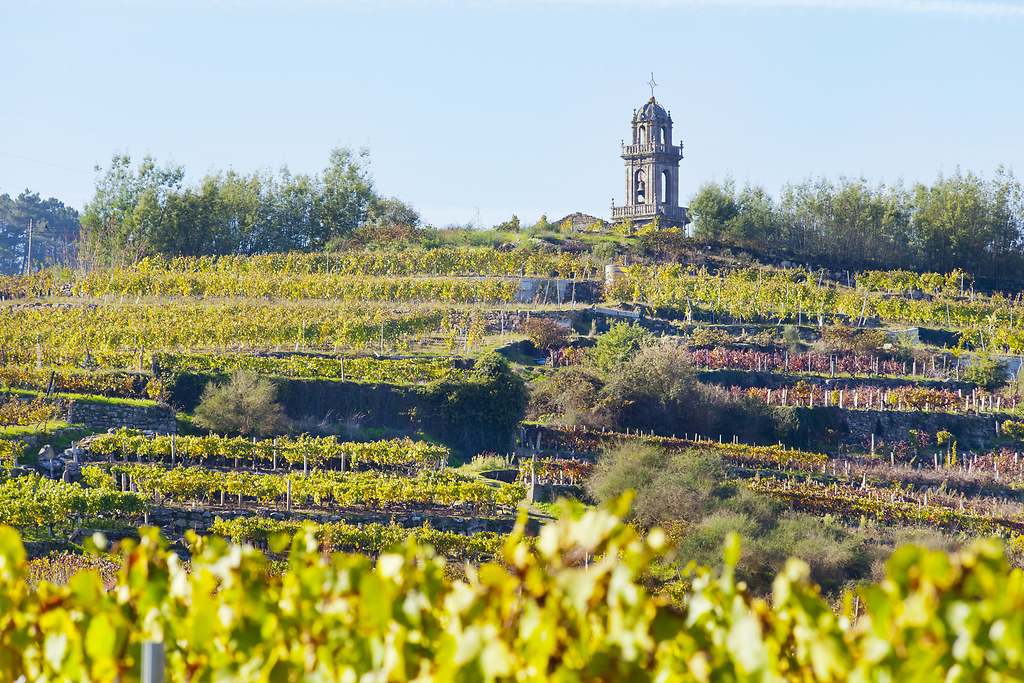 La cuna del vino Ribeiro