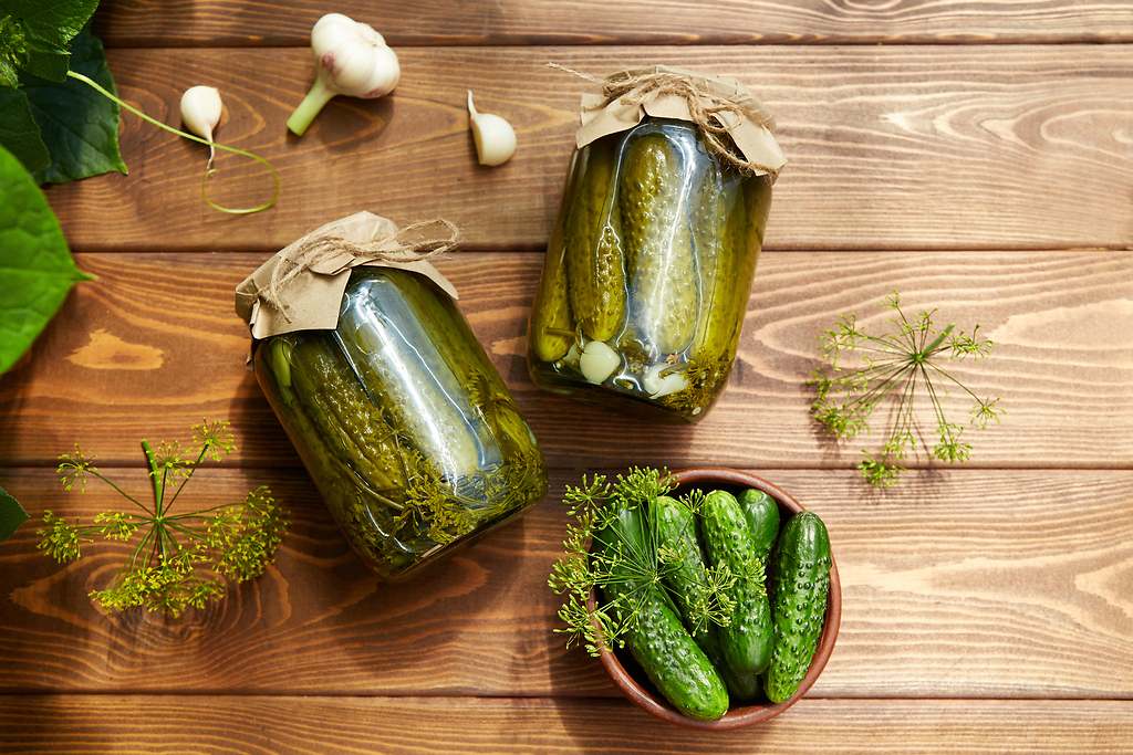 Pepinillos fermentados