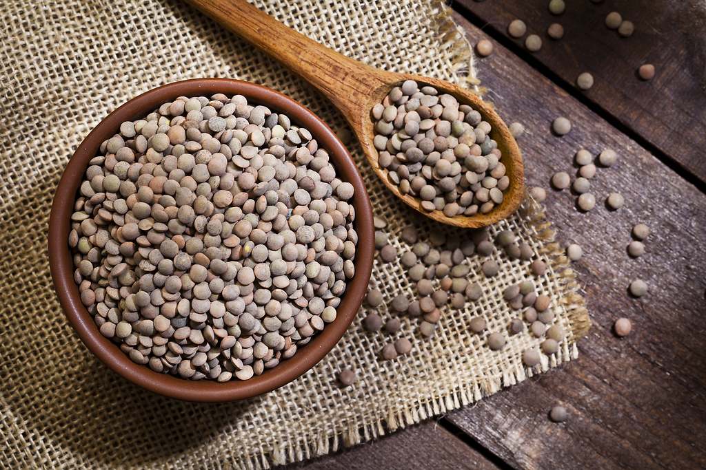 Una fuente de proteínas y minerales