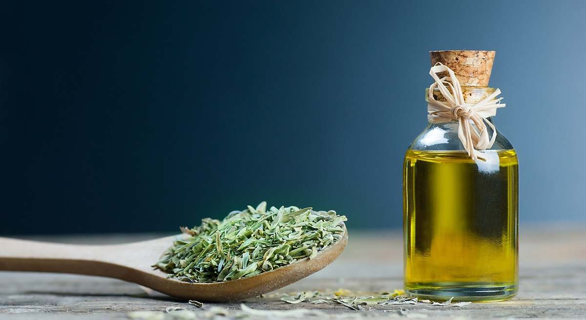 Expertos confirman los efectos antioxidantes de los prebióticos de tomillo y orégano