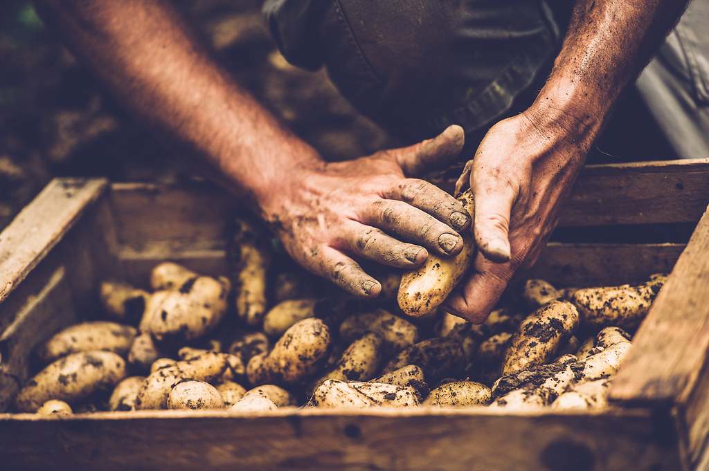 Métodos naturales y tradicionales