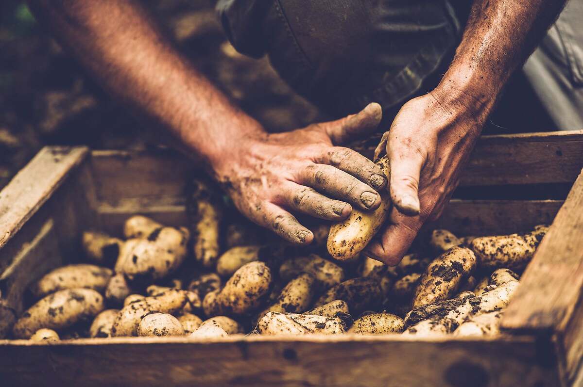 Métodos naturales y tradicionales