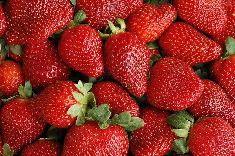 fresas