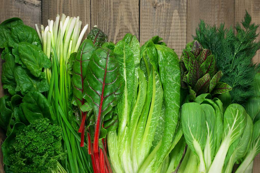 Verduras de hoja verde