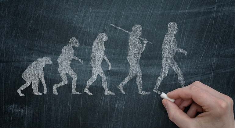 Evolución del ser humano