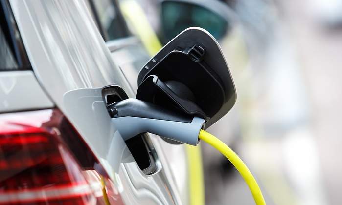electrico.jpg