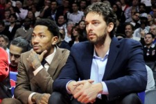 Rose-Gasol-lesionados-2014.jpg