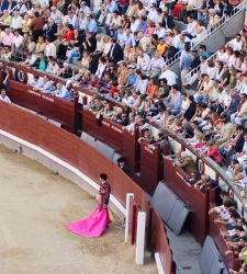 toros.jpg