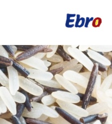 ebro