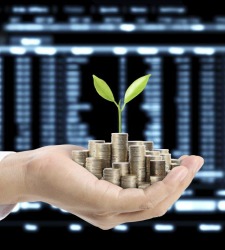 bolsa-planta-pantalla.jpg