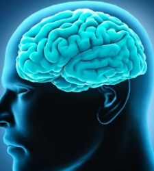 cerebro-efe2.jpg