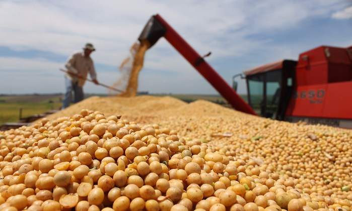 Agricultura.jpg