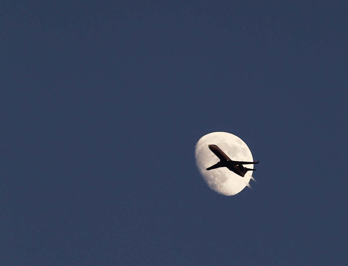 Un pájaro en la noche