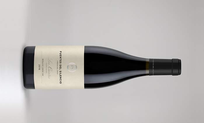 consejos-vino-3.jpg