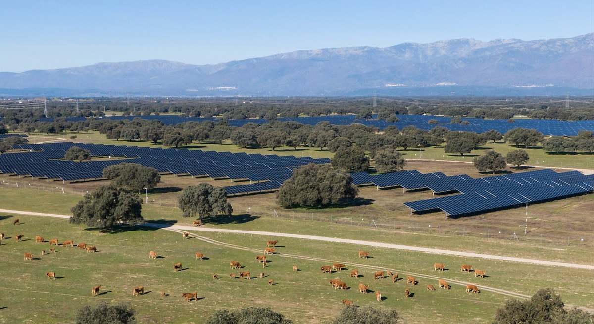 Statkraft obtiene la autorización ambiental para una planta solar de 150 MW en Cáceres