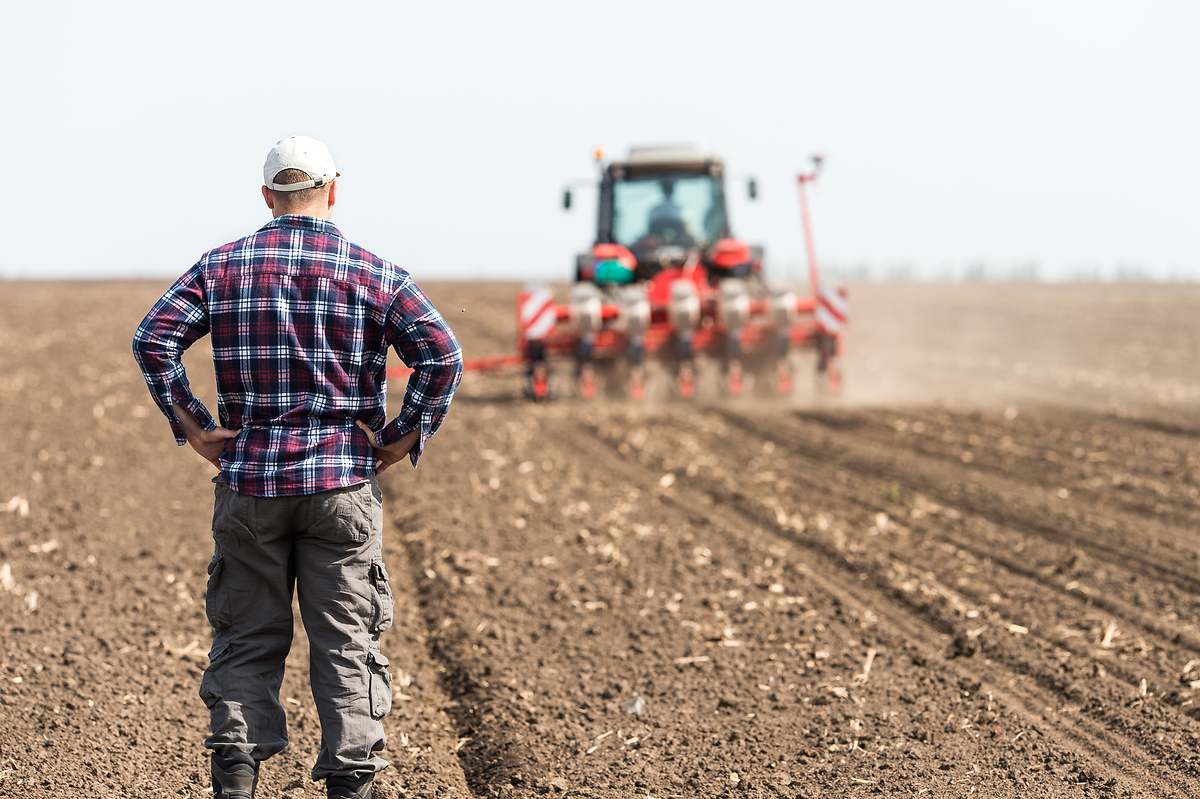 Subsidio agrario para personas trabajadoras residentes en Andalucía y Extremadura