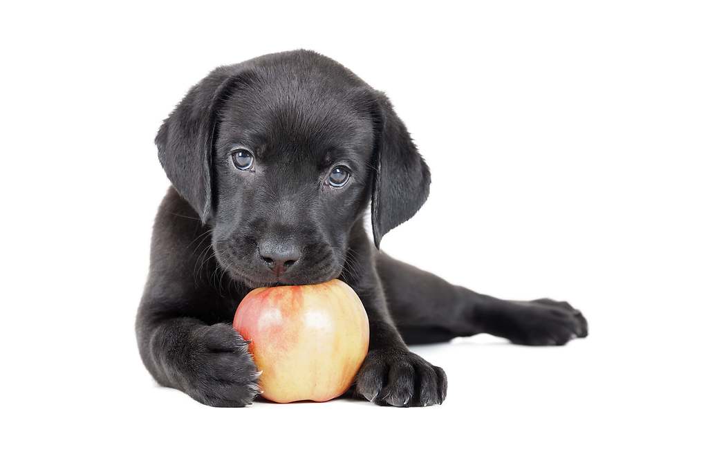 Manzanas
