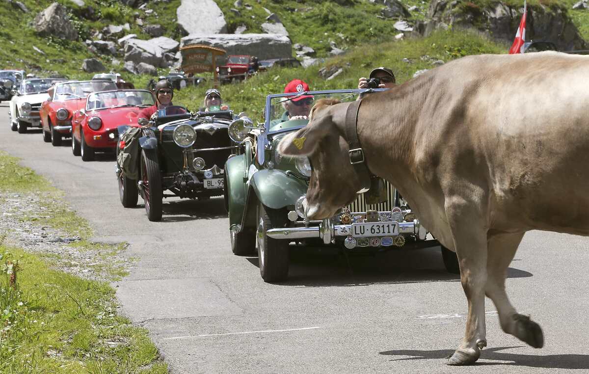 Coches especiales