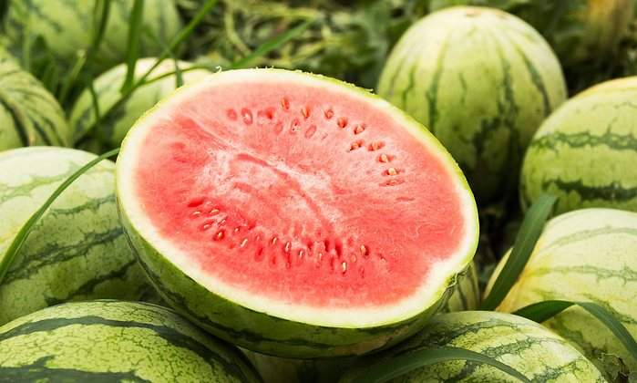 sandia.jpg