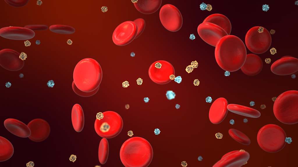 Cómo bajar los niveles de azúcar en sangre rápido y de forma natural