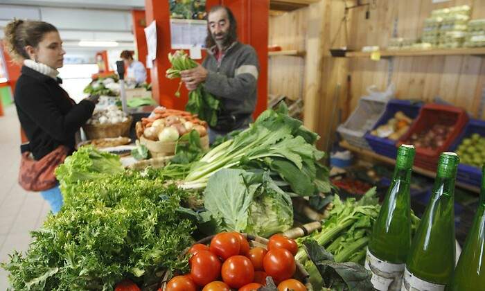 alimentos-ecologicos.jpg