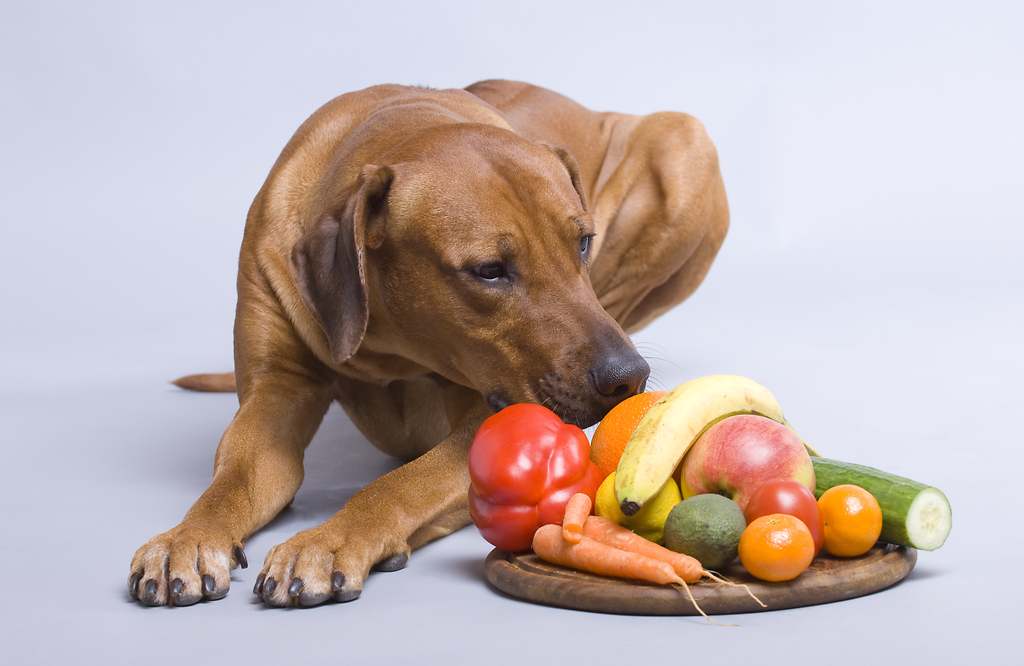 No todas las frutas son aptas