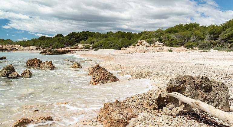 Playa salvaje de arena y guijarros de agua clara rodeada de bosque de pinos situada en la Sierra de Irta en la Costa del Azahar, España.