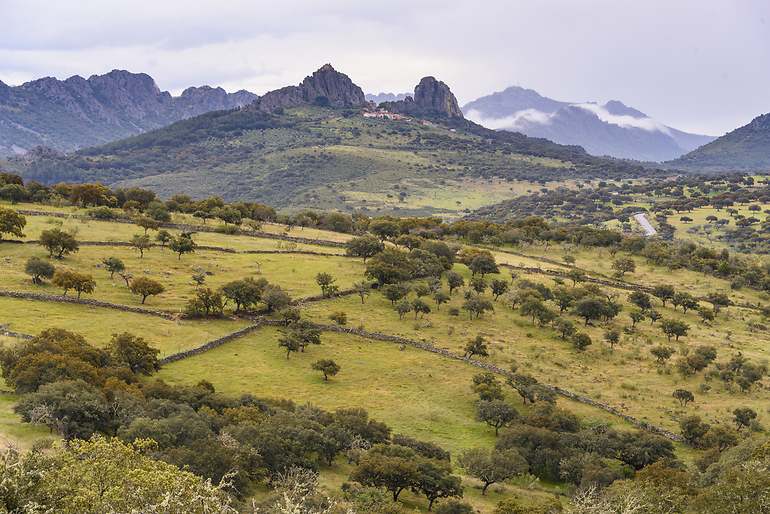 Villuercas