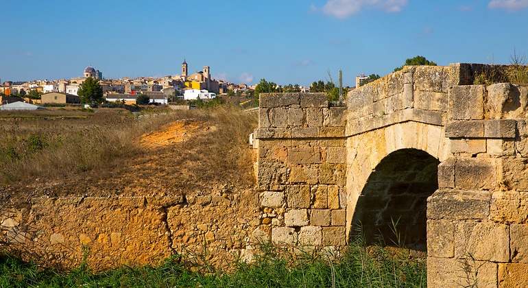 Requena en Valencia provincia de un vino de la región de España
