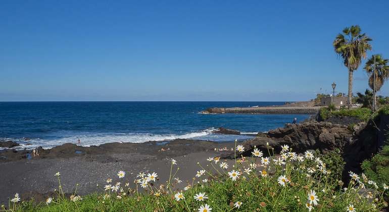 Una playa de arenas muy oscuras y un mar cristalino en el que se ve en primer plano un arbusto con margaritas y palmeras al fondo