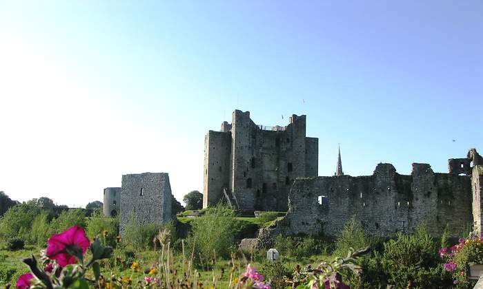 Trim-Castle-3.jpg
