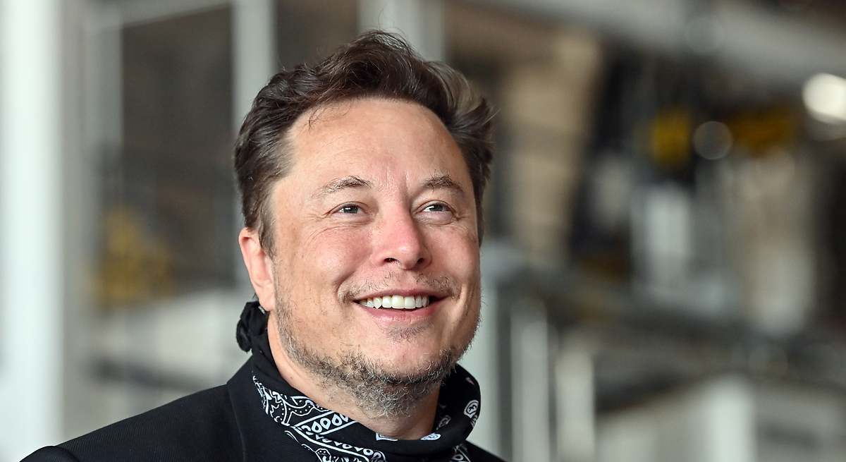 Tesla España registra un beneficio récord de 7 millones en 2024 gracias al incremento en sus ventas