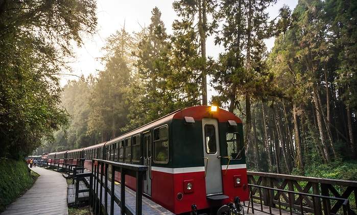tren-forestal-tanawat-pontchour-dreamstime-2.jpg