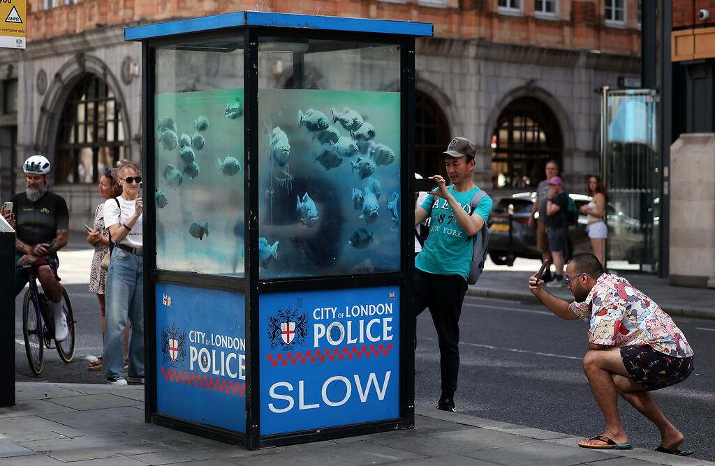 Peces de ciudad