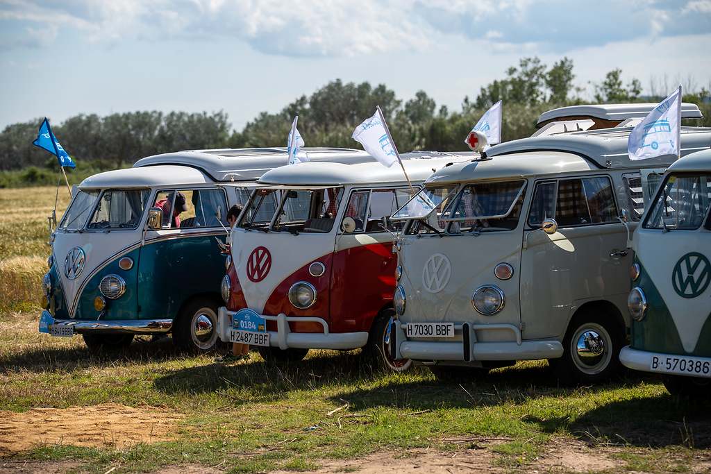 FurgoVolkswagen 2025: 75 años del VW Bulli