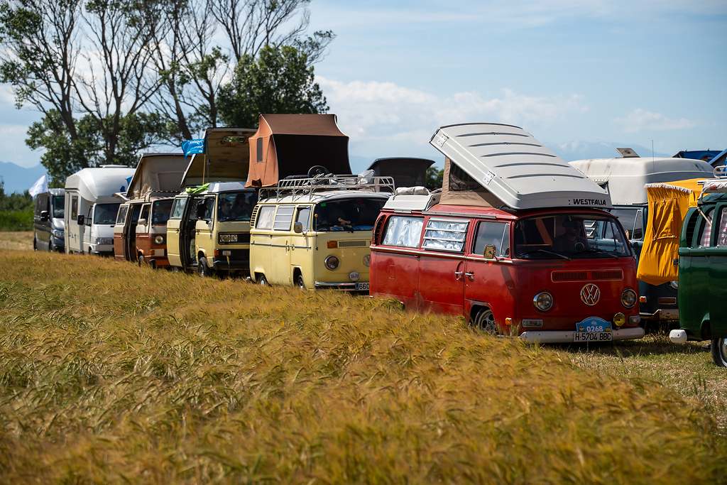 FurgoVolkswagen 2025: 75 años del VW Bulli