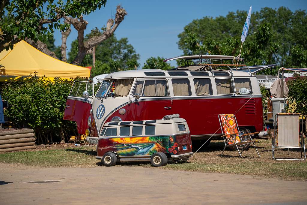 FurgoVolkswagen 2025: 75 años del VW Bulli